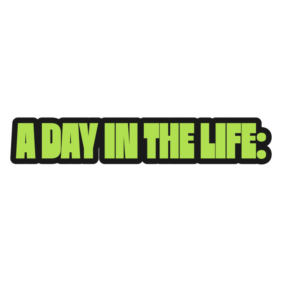A day in the life